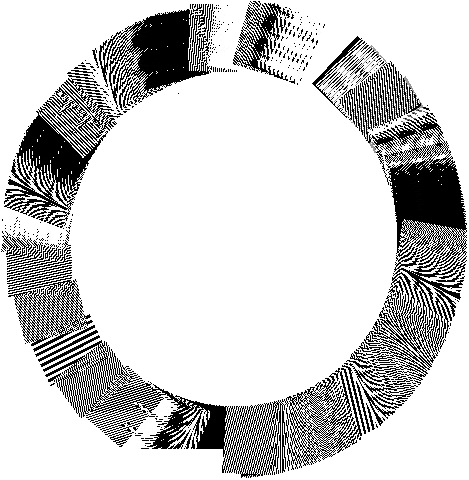 morie-o.2.gif