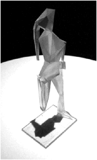 image1.gif